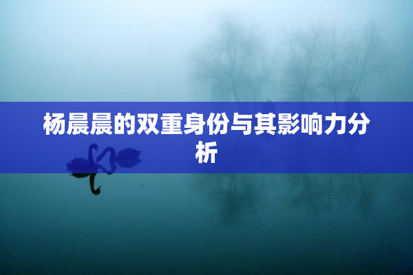 杨晨晨的双重身份与其影响力分析