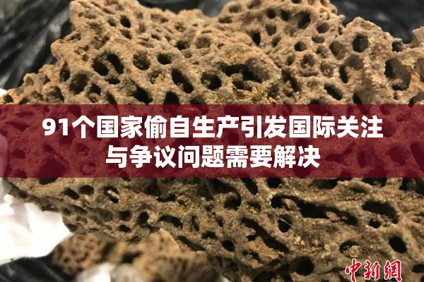 91个国家偷自生产引发国际关注与争议问题需要解决
