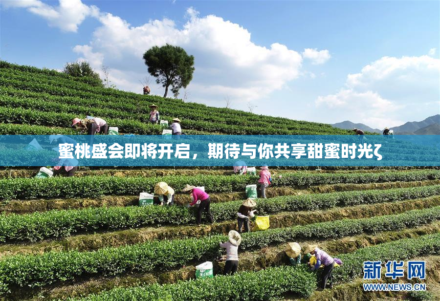 蜜桃盛会即将开启，期待与你共享甜蜜时光ζ