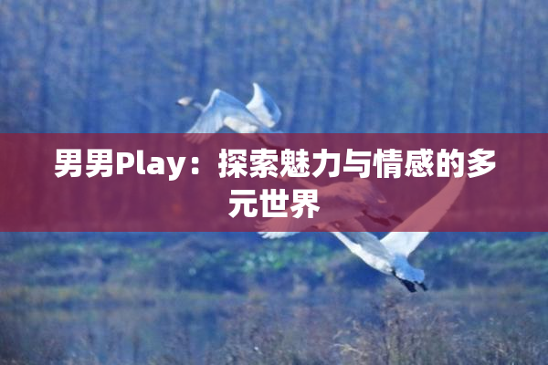 男男Play：探索魅力与情感的多元世界