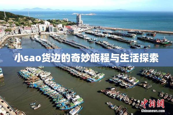 小sao货边的奇妙旅程与生活探索