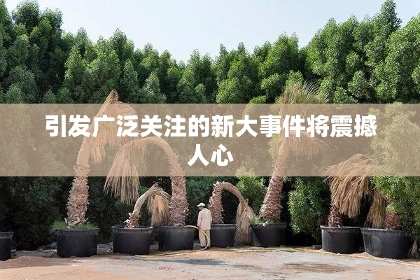 引发广泛关注的新大事件将震撼人心