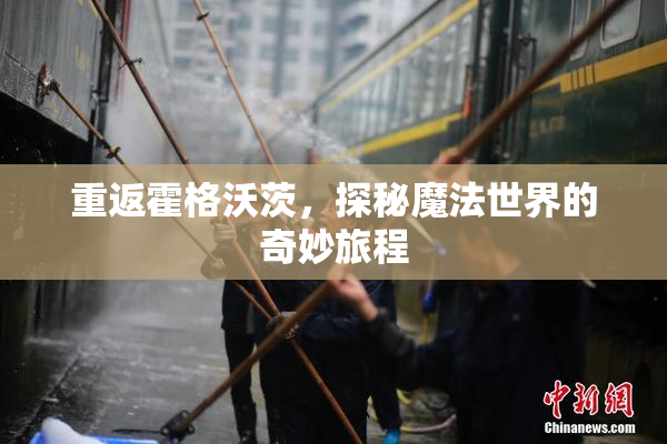重返霍格沃茨，探秘魔法世界的奇妙旅程