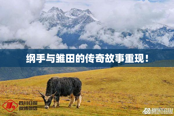 纲手与雏田的传奇故事重现！