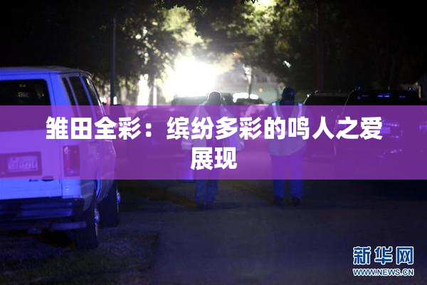 雏田全彩：缤纷多彩的鸣人之爱展现