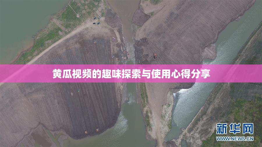 黄瓜视频的趣味探索与使用心得分享