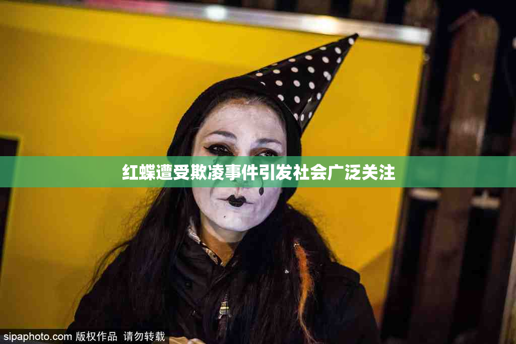 红蝶遭受欺凌事件引发社会广泛关注