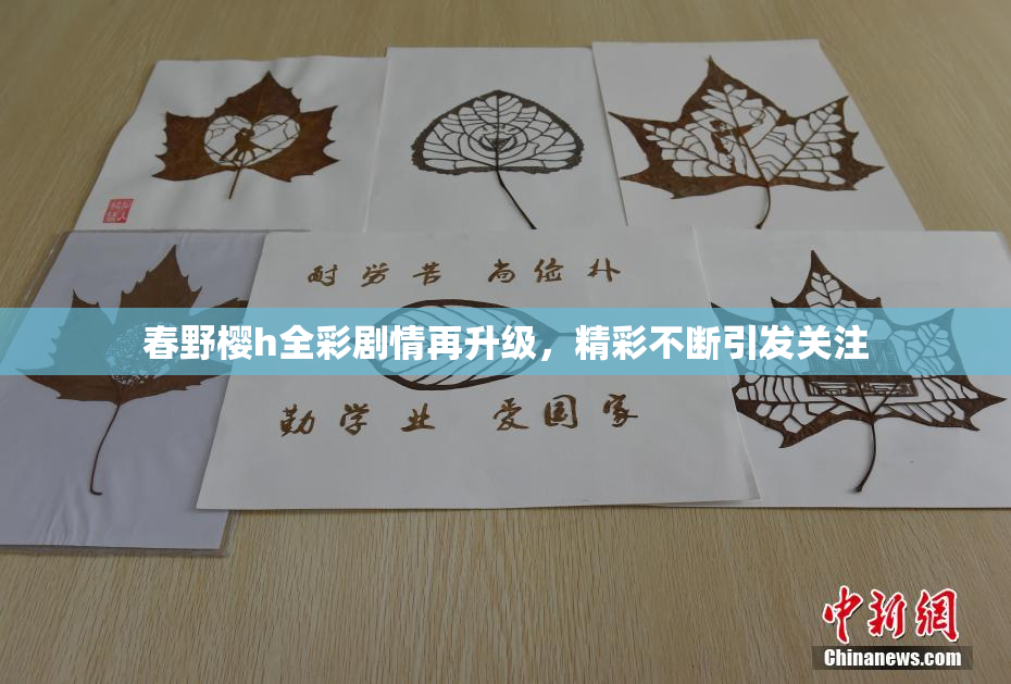 春野樱h全彩剧情再升级，精彩不断引发关注