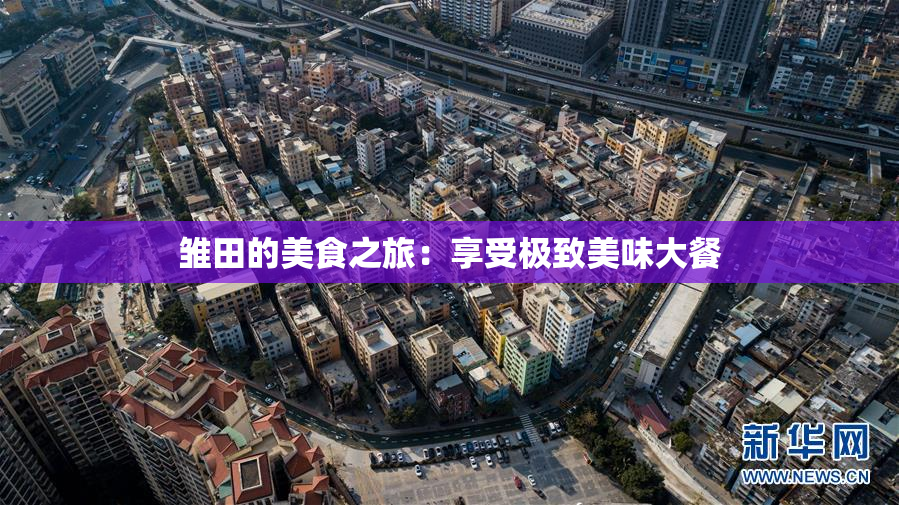 雏田的美食之旅：享受极致美味大餐