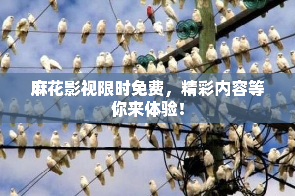 麻花影视限时免费，精彩内容等你来体验！