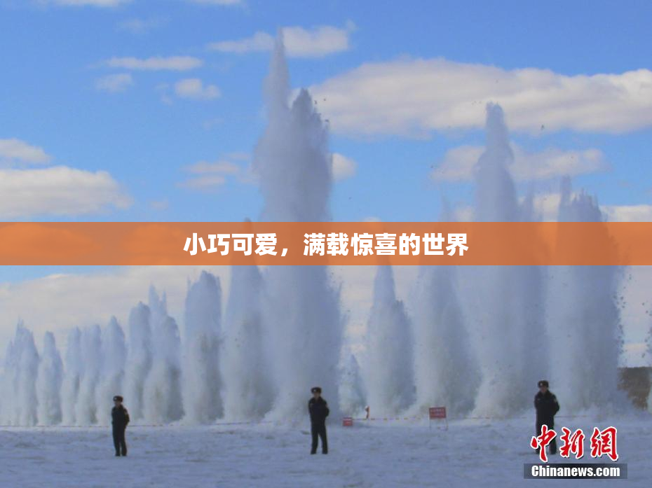 小巧可爱，满载惊喜的世界