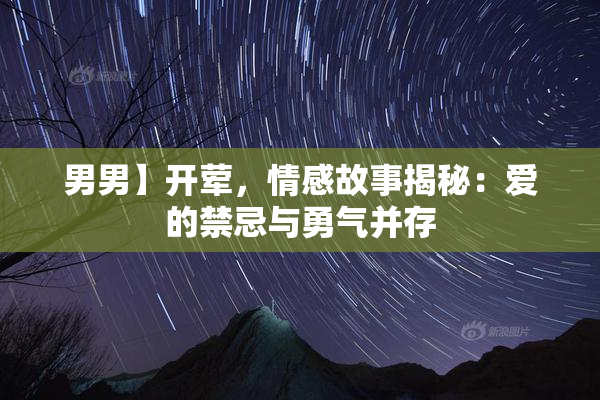 男男】开荤，情感故事揭秘：爱的禁忌与勇气并存