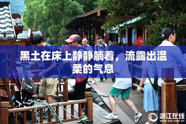 黑土在床上静静躺着，流露出温柔的气息