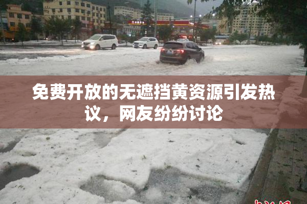 免费开放的无遮挡黄资源引发热议，网友纷纷讨论