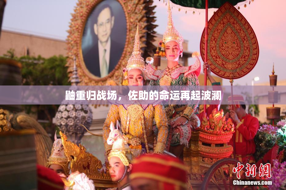 鼬重归战场，佐助的命运再起波澜