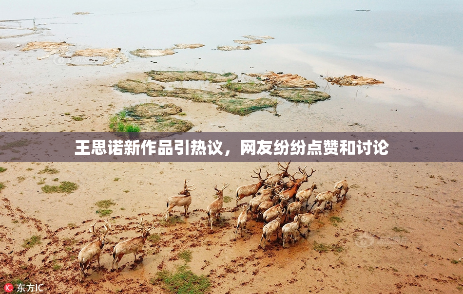 王思诺新作品引热议，网友纷纷点赞和讨论