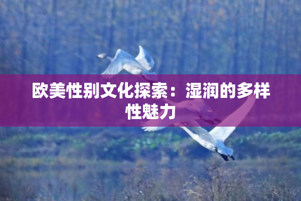 欧美性别文化探索：湿润的多样性魅力