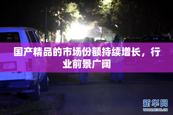 国产精品的市场份额持续增长，行业前景广阔
