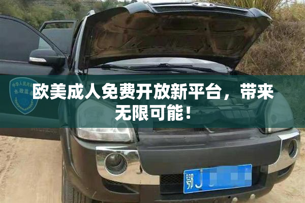 欧美成人免费开放新平台，带来无限可能！