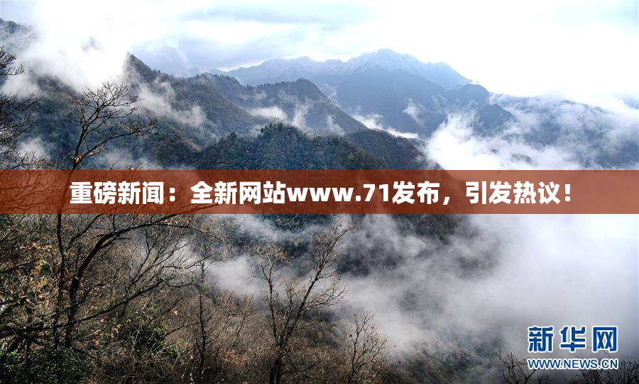 重磅新闻：全新网站www.71发布，引发热议！