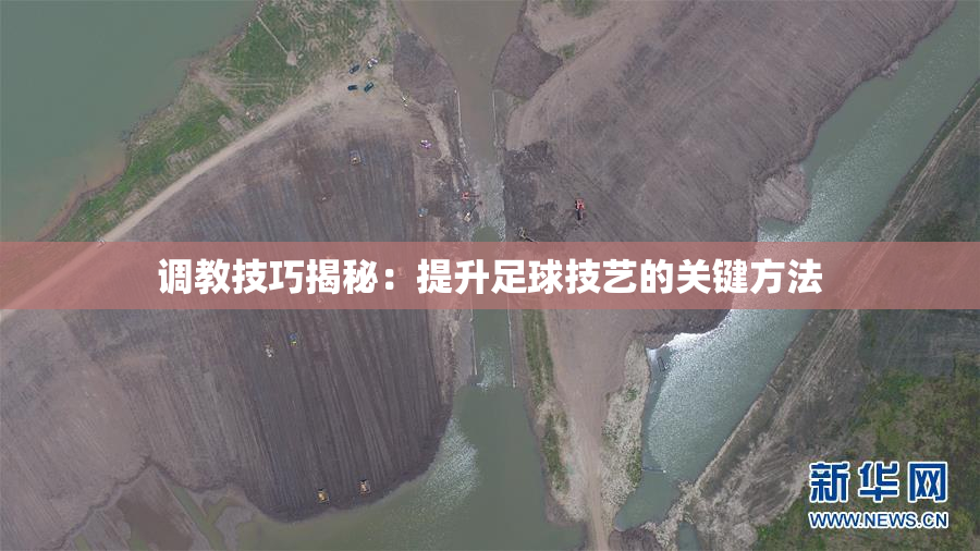 调教技巧揭秘：提升足球技艺的关键方法