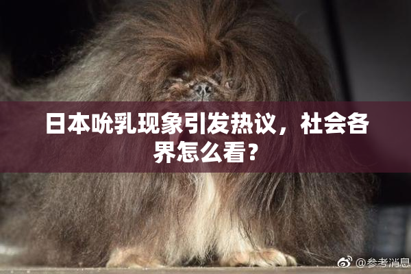 日本吮乳现象引发热议，社会各界怎么看？