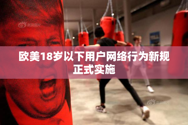 欧美18岁以下用户网络行为新规正式实施