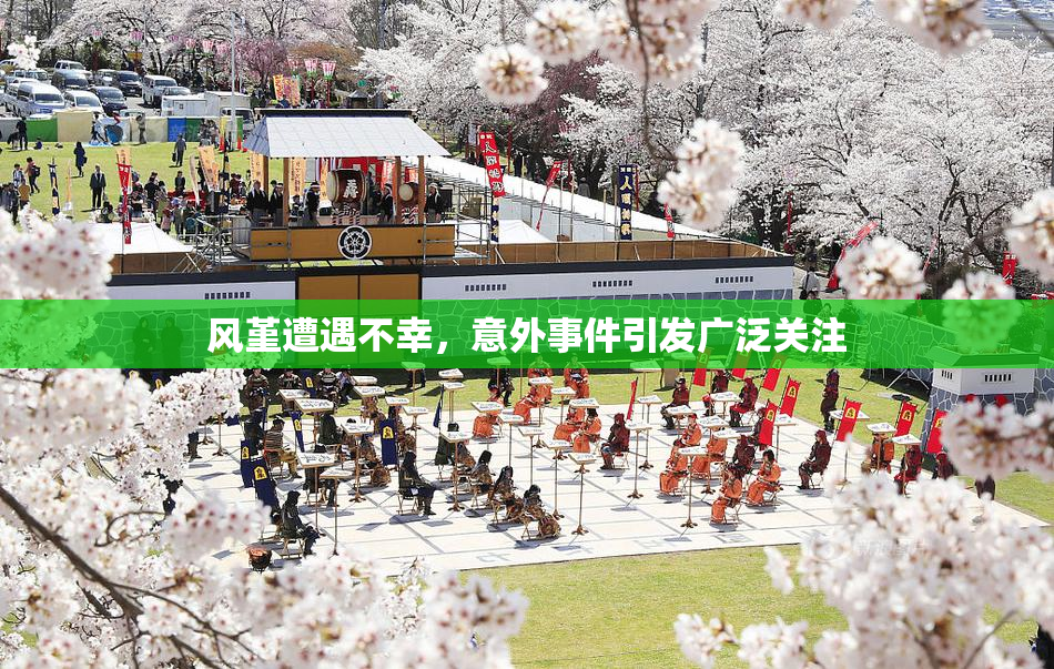 风堇遭遇不幸，意外事件引发广泛关注