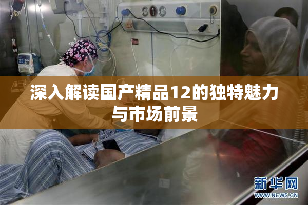 深入解读国产精品12的独特魅力与市场前景