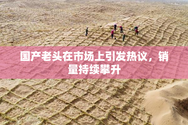 国产老头在市场上引发热议，销量持续攀升