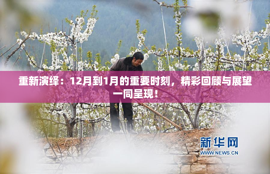 重新演绎：12月到1月的重要时刻，精彩回顾与展望一同呈现！