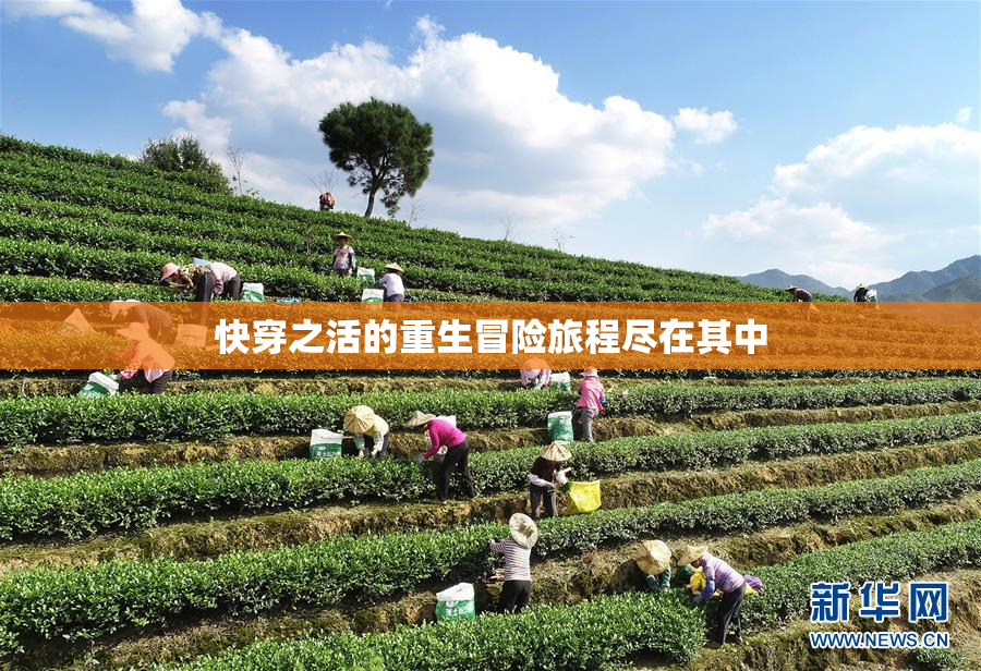 快穿之活的重生冒险旅程尽在其中