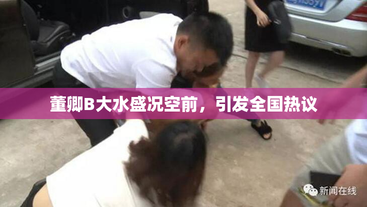 董卿B大水盛况空前，引发全国热议