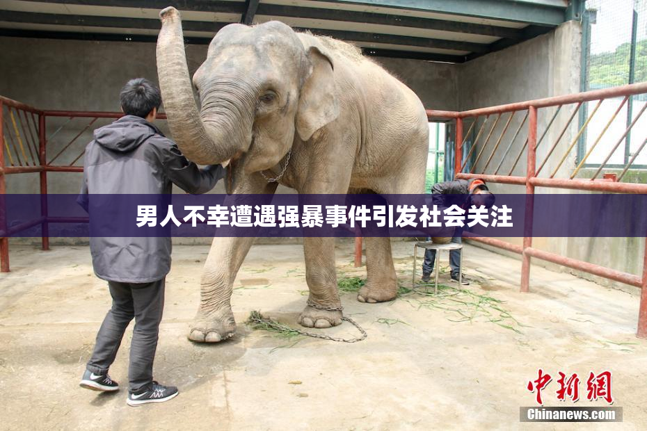 男人不幸遭遇强暴事件引发社会关注