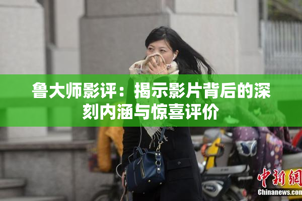 鲁大师影评：揭示影片背后的深刻内涵与惊喜评价
