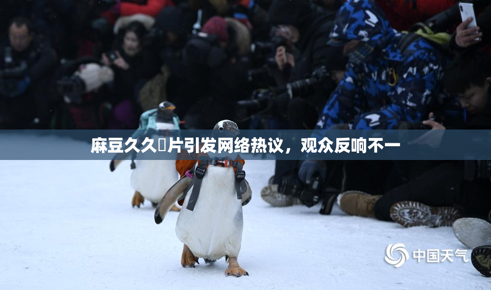 麻豆久久婬片引发网络热议，观众反响不一
