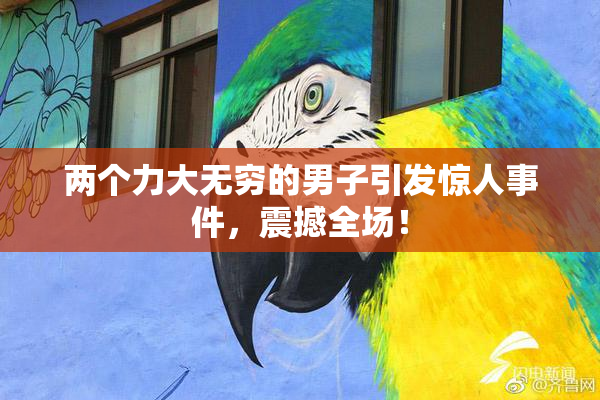 两个力大无穷的男子引发惊人事件，震撼全场！