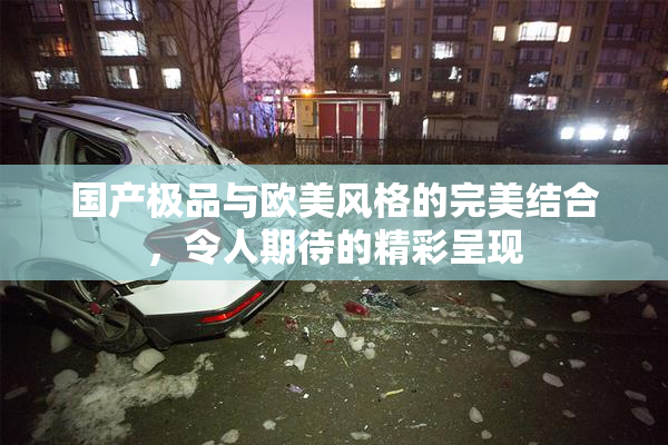 国产极品与欧美风格的完美结合，令人期待的精彩呈现