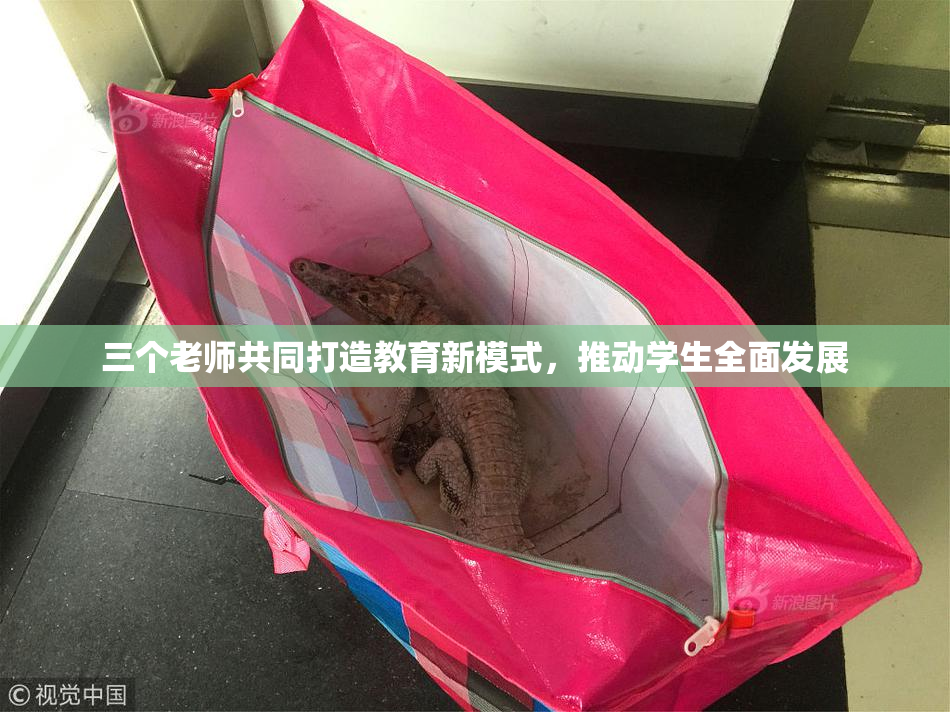 三个老师共同打造教育新模式，推动学生全面发展