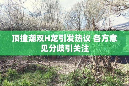 顶撞潮双H龙引发热议 各方意见分歧引关注
