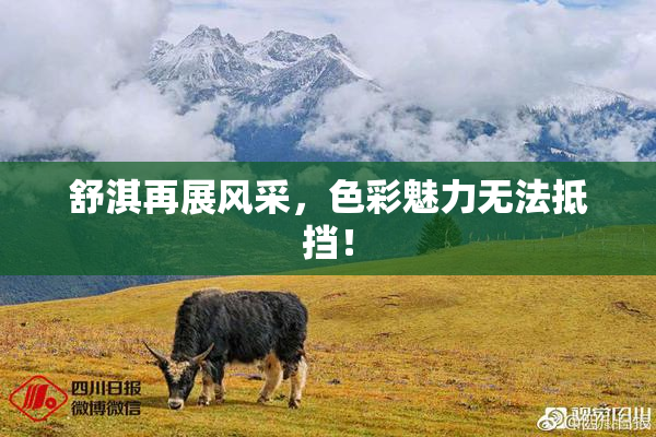 舒淇再展风采，色彩魅力无法抵挡！