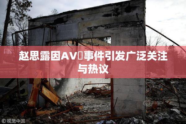 赵思露因AV婬事件引发广泛关注与热议