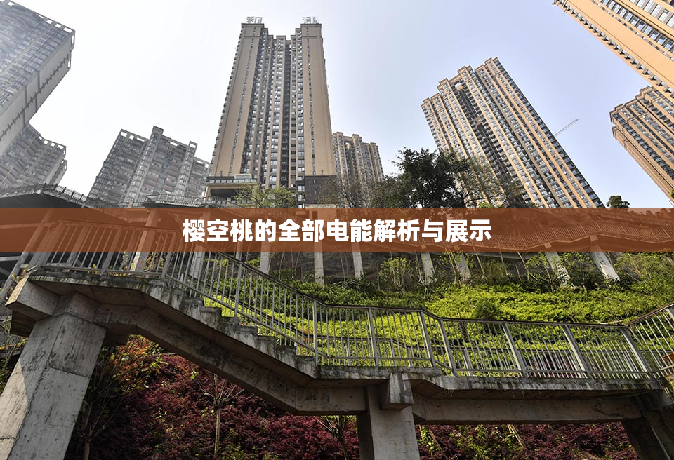 樱空桃的全部电能解析与展示