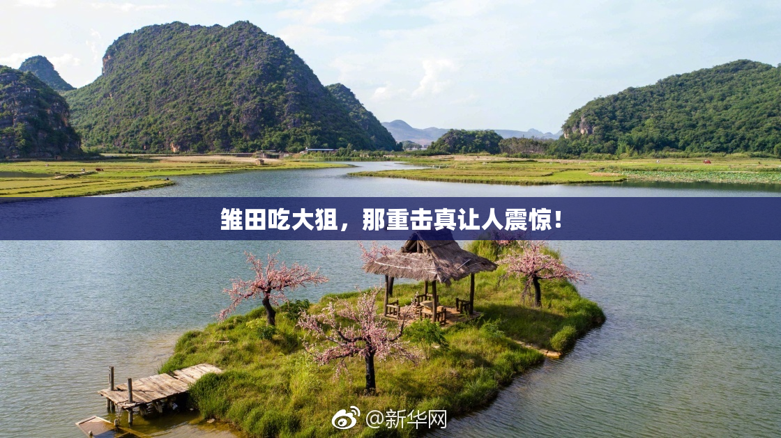 雏田吃大狙，那重击真让人震惊！