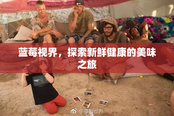 蓝莓视界，探索新鲜健康的美味之旅