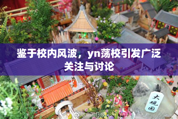鉴于校内风波，yn荡校引发广泛关注与讨论
