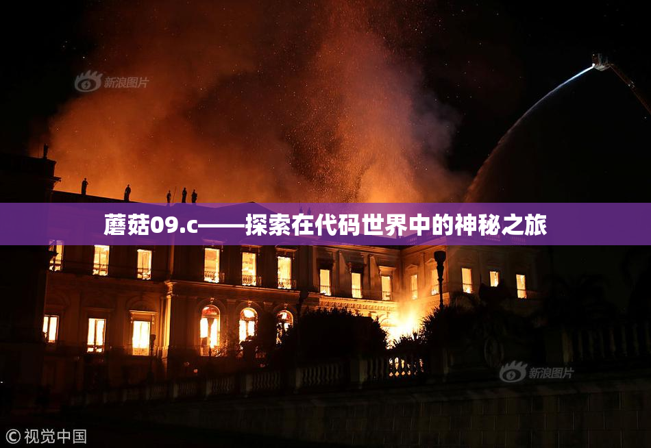 蘑菇09.c——探索在代码世界中的神秘之旅