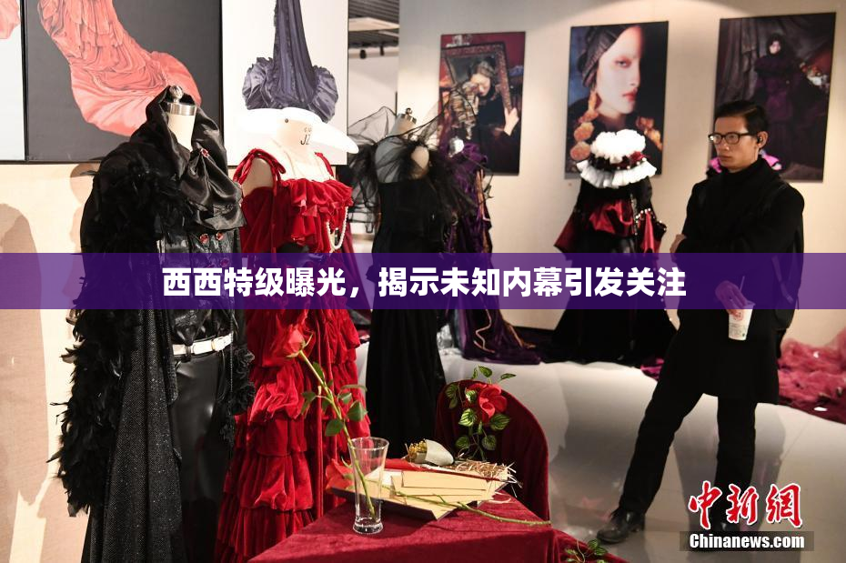 西西特级曝光，揭示未知内幕引发关注