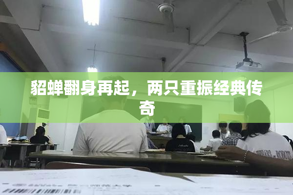 貂蝉翻身再起，两只重振经典传奇