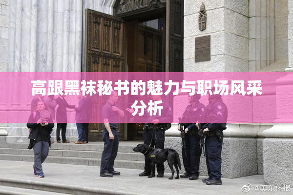 高跟黑袜秘书的魅力与职场风采分析